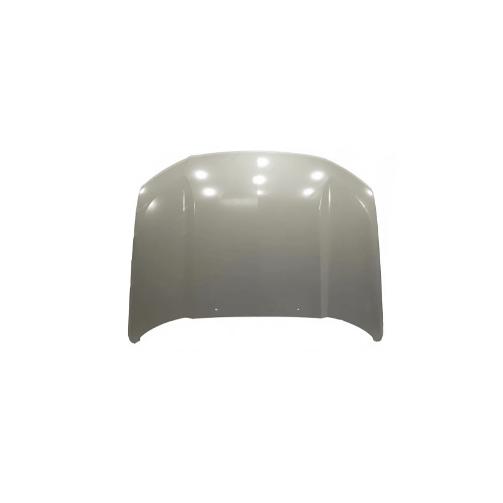 Vordere Motorhaube 2123-8402010-81