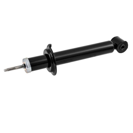 Stoßdämpfer hinten 2170-2915004