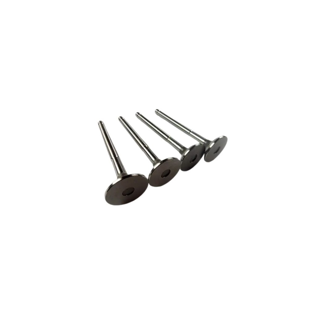 Auslassventilsatz AVTOVAZ 2101-1007012